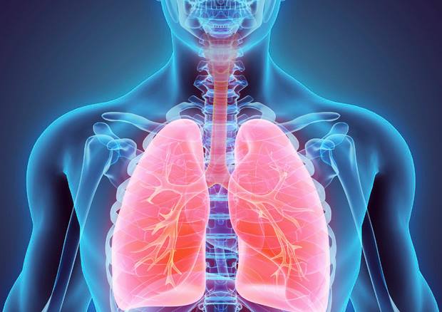 tumore caso sfortuna