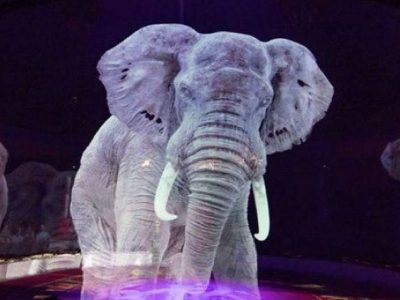 Il circo del futuro: animali in formato ologramma e plastic free
