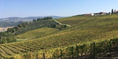 Caporalato, 5 arresti dei carabinieri nel Manto...