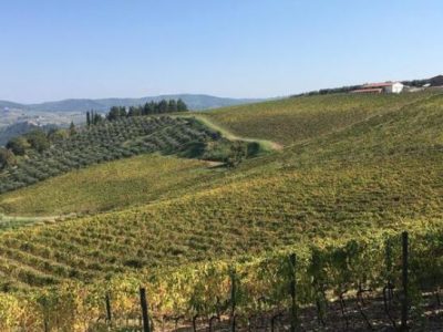 Caporalato, 5 arresti dei carabinieri nel Mantovano