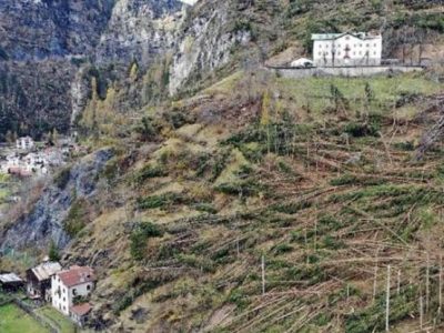 Dopo la tempesta Vaia, la rinascita dei boschi in Alto Adige