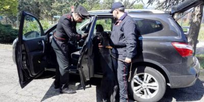 Deteneva armi, munizioni ed eroina, arrestato d...