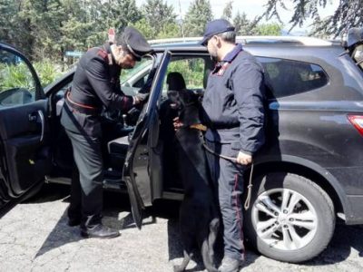 Deteneva armi, munizioni ed eroina, arrestato dai carabinieri