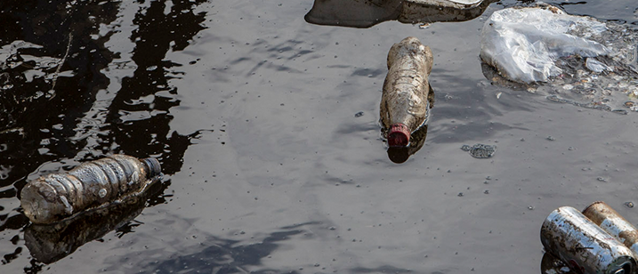 bottiglie plastica, Will McCallum