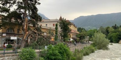 Dramma a Merano, un albero cade addosso a mamma...