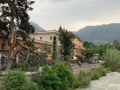 Dramma a Merano, un albero cade addosso a mamma e bimbo