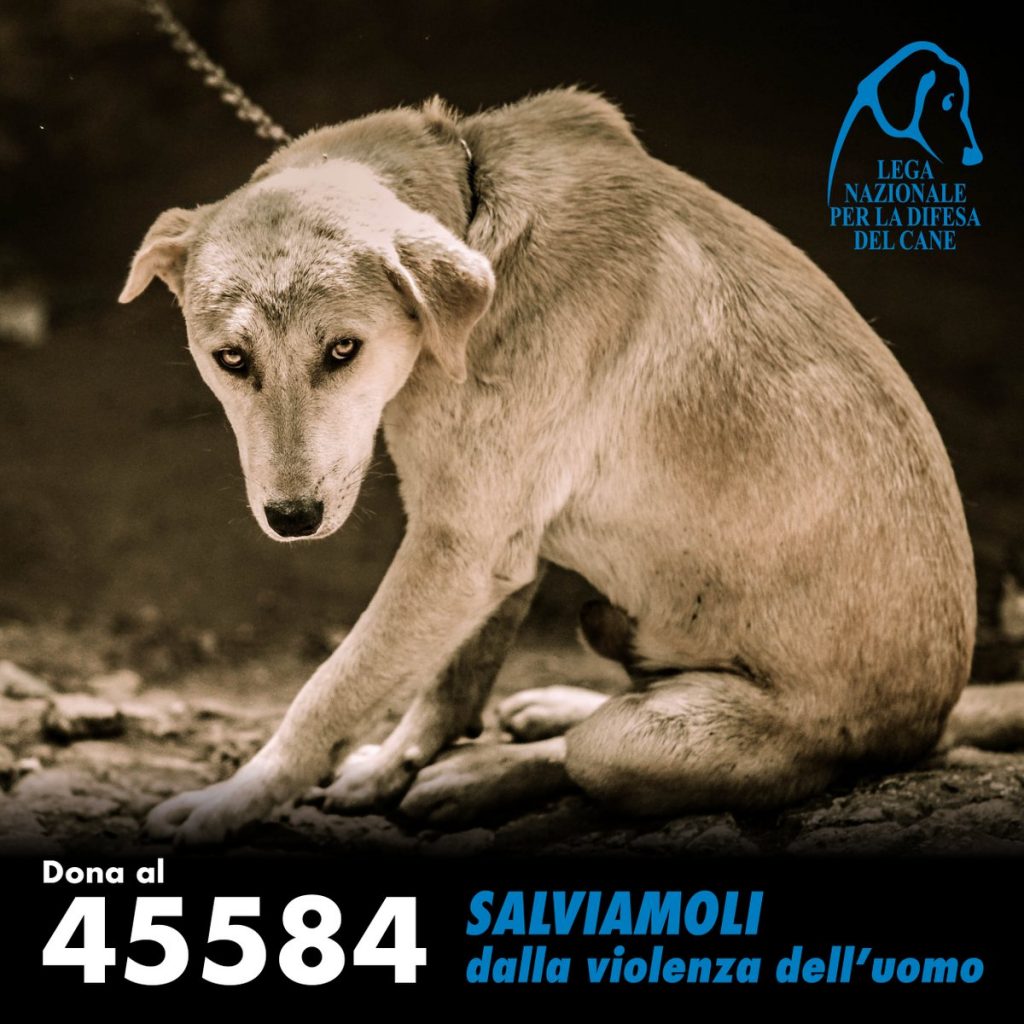 cani avvelenati livorno