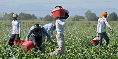 Caporalato: sequestrati fondi e indagati quattr...