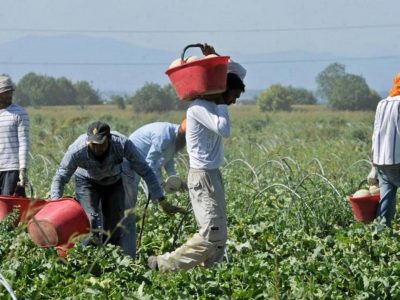 Caporalato: sequestrati fondi e indagati quattro imprenditori