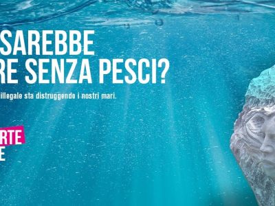Il museo sott’acqua “Casa dei Pesci” dove l’arte protegge il mare