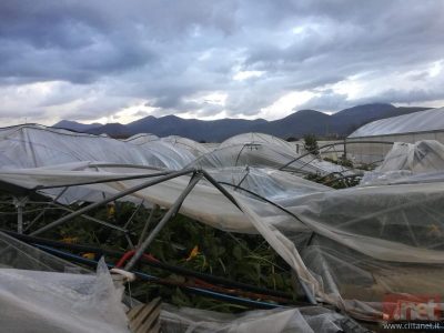 Coldiretti: da grandinate e piogge gravi danni all’agricoltura