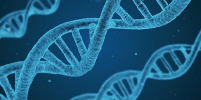 La scoperta di milioni di nuove specie dal codi...