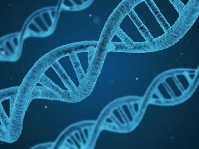 La scoperta di milioni di nuove specie dal codice a barre del Dna