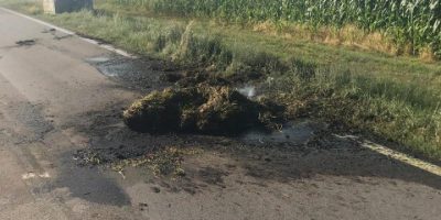 Va in fiamme un tir, bruciate 13 tonnellate di ...