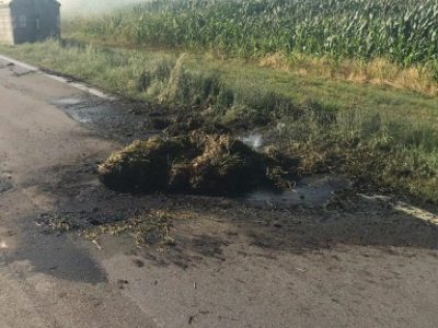 Va in fiamme un tir, bruciate 13 tonnellate di foraggio