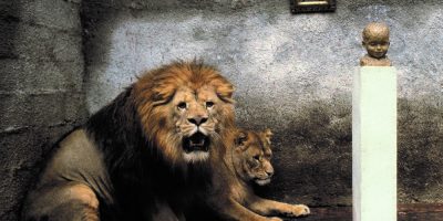 A Milano debutta la mostra “Traveling to ...