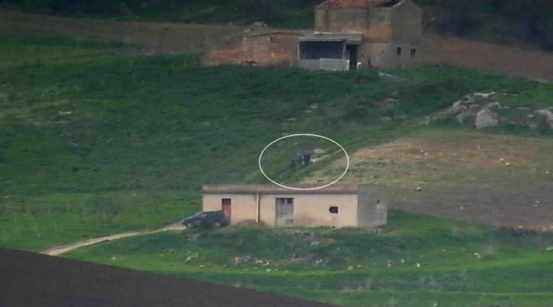 blitz fiancheggiatori denaro