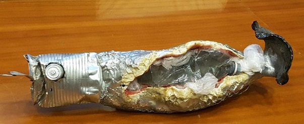 basurero, pesce spazzino, mare più bello