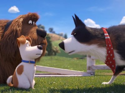 Box office: Pets 2 è il film più visto nel weekend in Italia e negli Usa