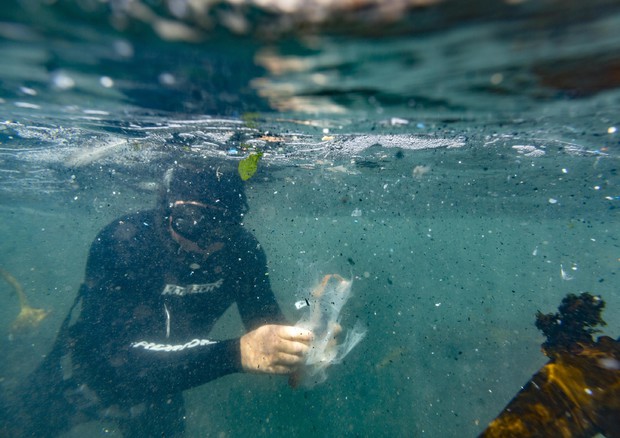 "A pesca di Plastica"