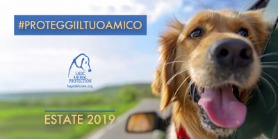 “Proteggi il tuo amico”, 10 consigl...