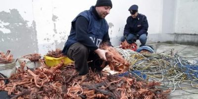 Arrestata banda di ladri di rame, operava tra M...
