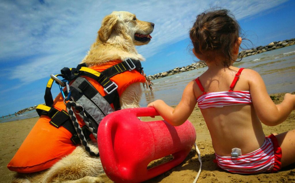 proteggi il tuo amico