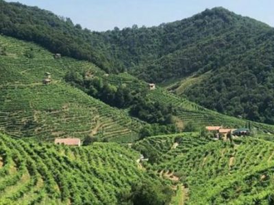 Le colline del Prosecco diventano patrimonio Unesco