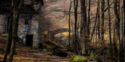 Le più belle foreste d’Italia raccontate ...