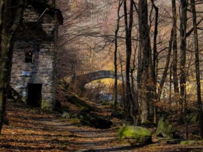 Le più belle foreste d’Italia raccontate in un click