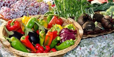 In vacanza vince la cucina a Km 0: la scelgono ...