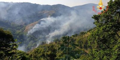 Catanzaro, rogo vicino al Parco delle biodiversità