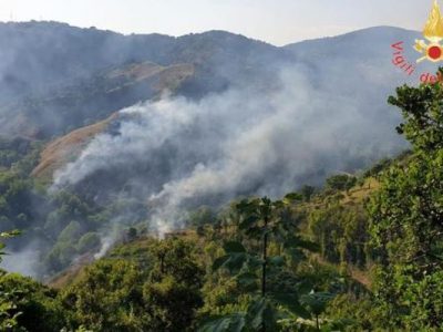 Catanzaro, rogo vicino al Parco delle biodiversità