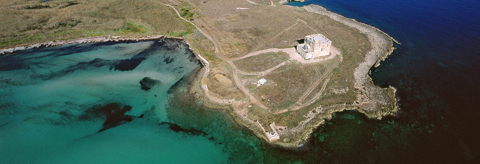 Area marina protetta di Torre Guaceto, disco nebra