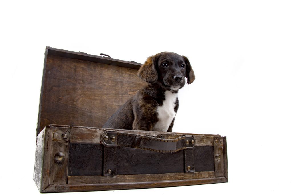 lasciarsi dopo vacanze