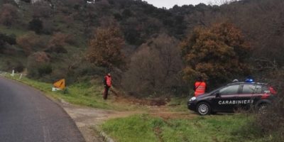 Bolzano, auto precipita in un dirupo: morte due...