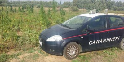 Anziana di 77 anni è stata uccisa in casa, ferm...