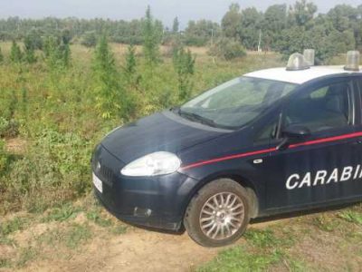 Anziana di 77 anni è stata uccisa in casa, fermato uno dei figli