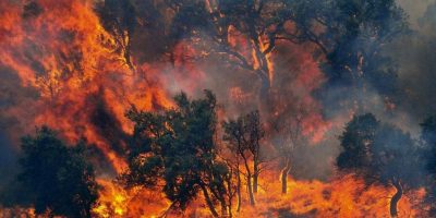 Sugli incendi sono stati aperti tre fascicoli d...