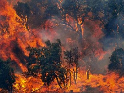 Sugli incendi sono stati aperti tre fascicoli di inchiesta