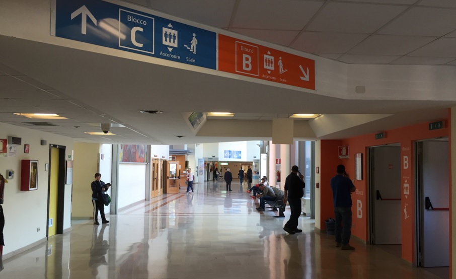 matera prelievo multiorgano