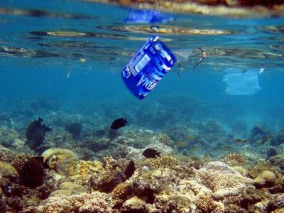 Acque inquinate da rumori, polveri e acidificazione danneggiano i pesci