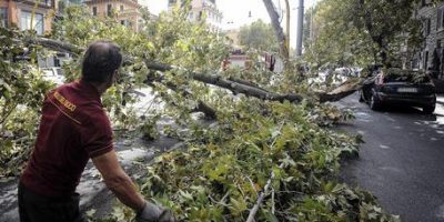 Si stacca un ramo da un albero, diversi contusi...