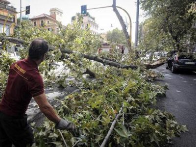 Si stacca un ramo da un albero, diversi contusi, feriti due bimbi