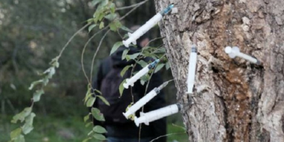 Uomo ucciso da un’overdose nel boschetto ...