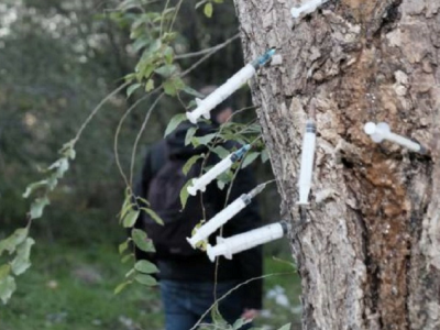 Uomo ucciso da un’overdose nel boschetto di Rogoredo