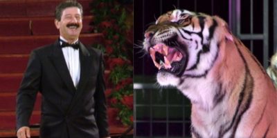 Azzannato dalle tigri muore domatore del circo ...