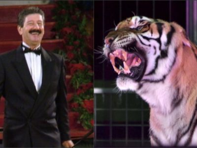 Azzannato dalle tigri muore domatore del circo Orfei