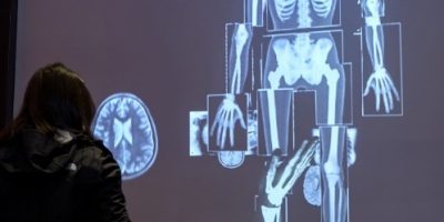 Esplorare il corpo umano grazie alla mostra ...