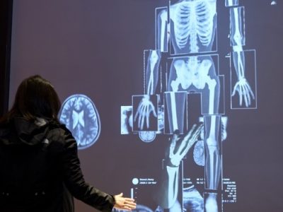 Esplorare il corpo umano grazie alla mostra “Uomo Virtuale”